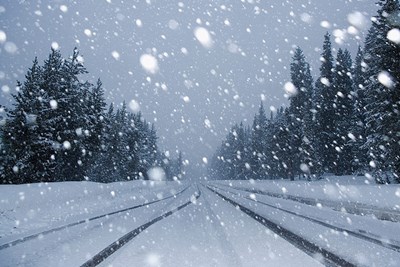 Winter Storm Watch - January 24, 2026 Snowstorm