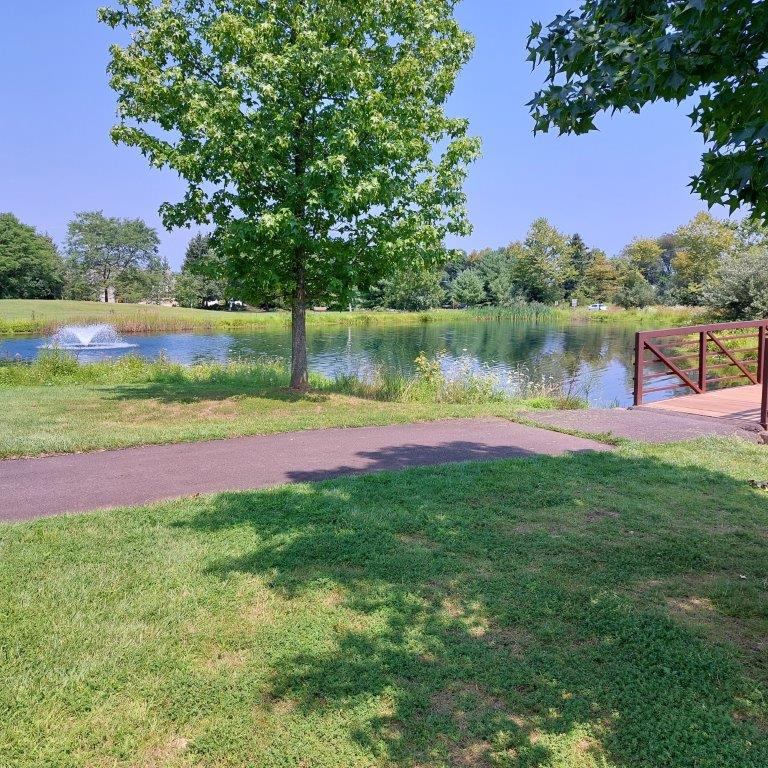 Hansell Park Pond
