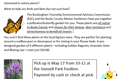 Native Plant Sale