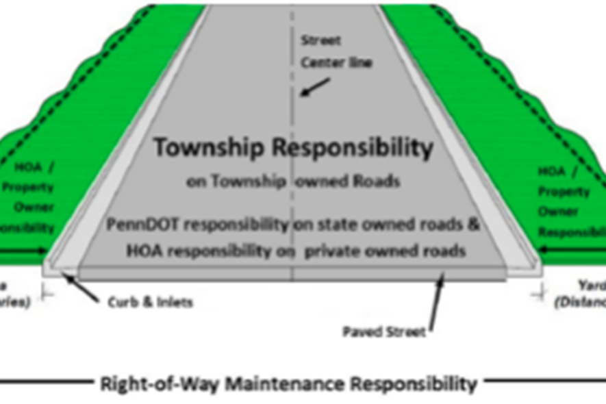 Vegetation Maintenance In Rights-of-Way (R-O-W)