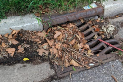 Fall is the time to clean storm drains!