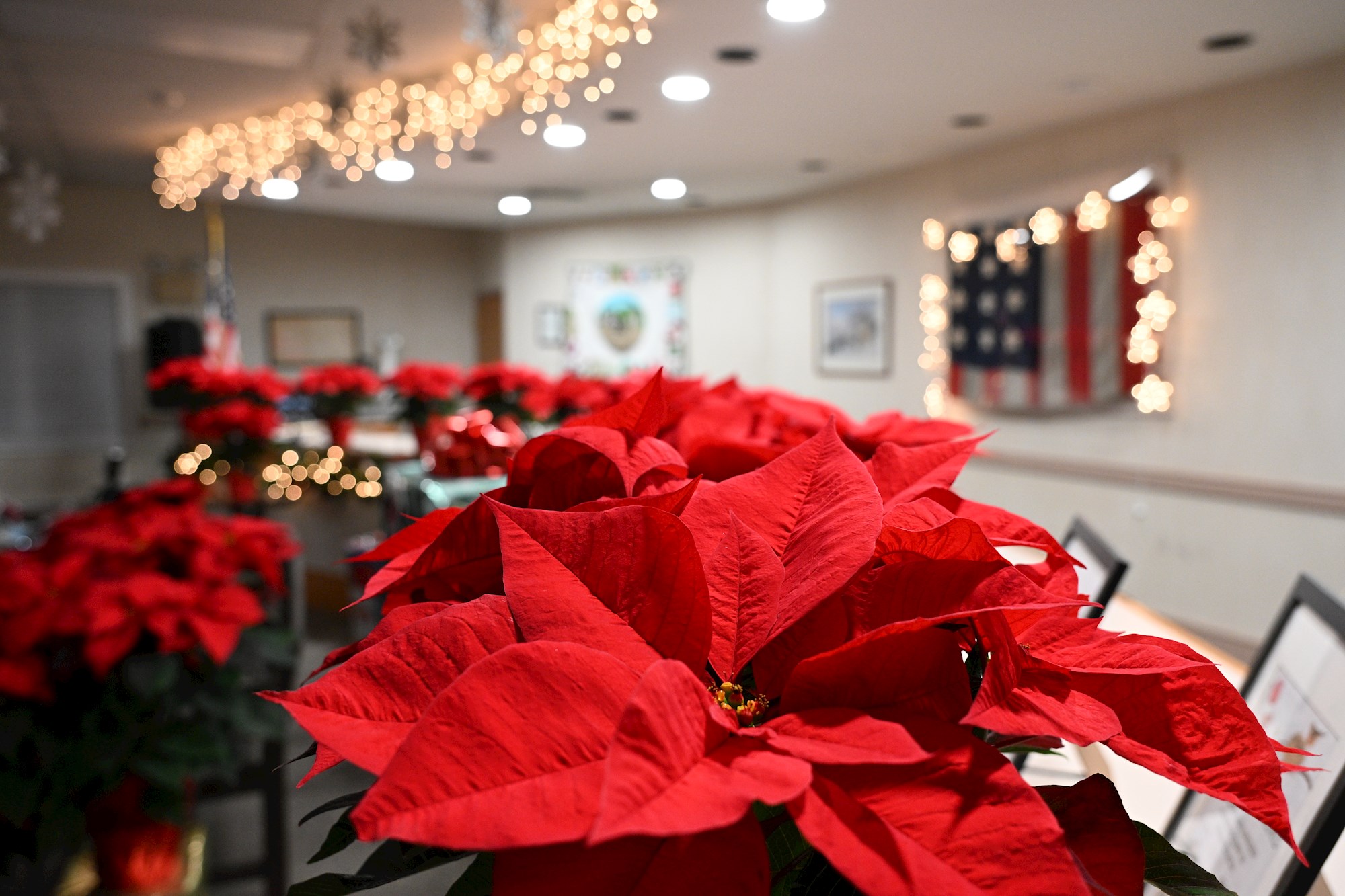 Happy Holidays Buckingham!