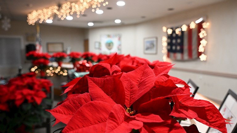 Happy Holidays Buckingham!