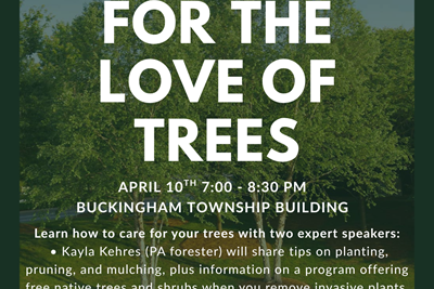For the Love of Trees- How to keep your trees alive Hosted by the Buckingham Township EAC