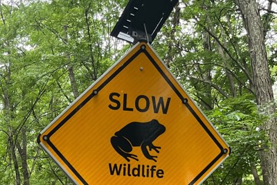 New Wildlife Crossing Signs on Upper Mountain Road