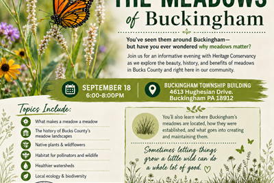 This Week in Buckingham: Meadows, Leaf Bags and Comprehensive Plan Workshop